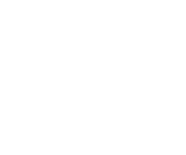 savoy icon